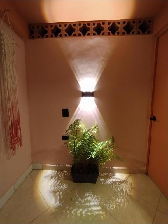 Hostal Casa Primavera Medellín Dış mekan fotoğraf