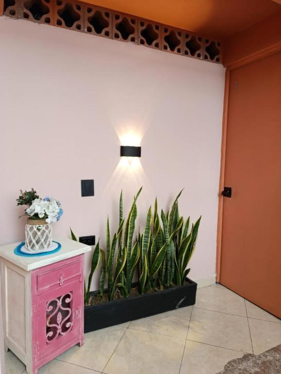 Hostal Casa Primavera Medellín Dış mekan fotoğraf