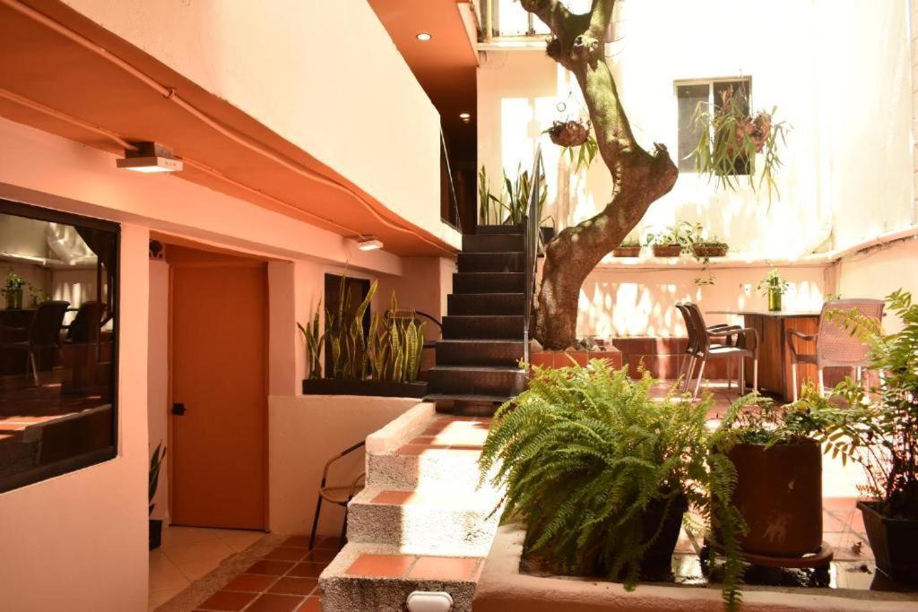Hostal Casa Primavera Medellín Dış mekan fotoğraf