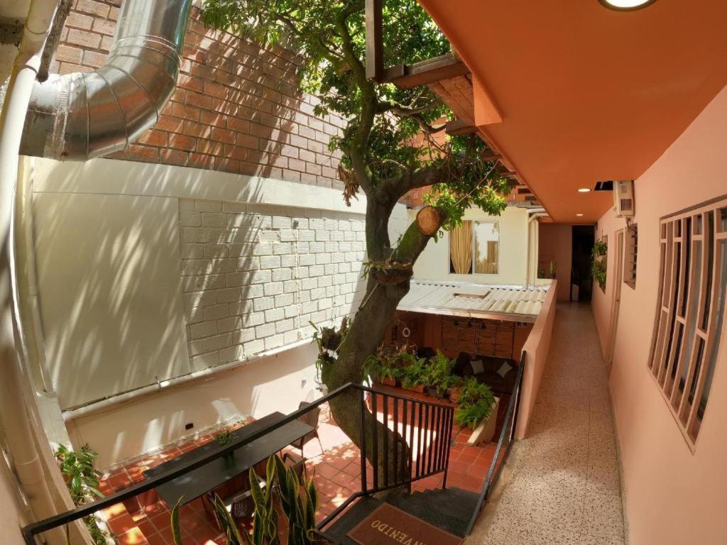 Hostal Casa Primavera Medellín Dış mekan fotoğraf